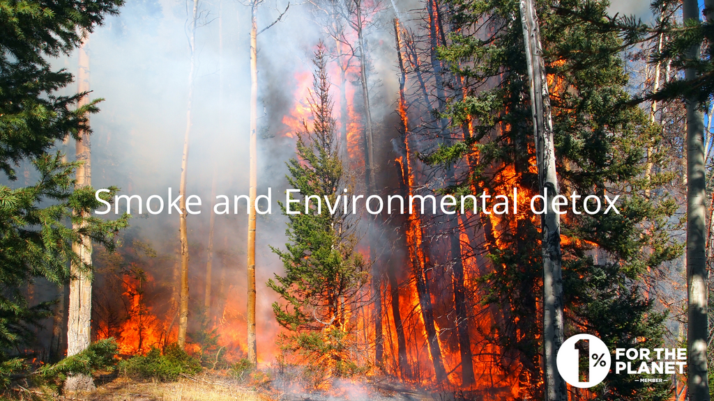 Smoke + Environmental Toxin Support