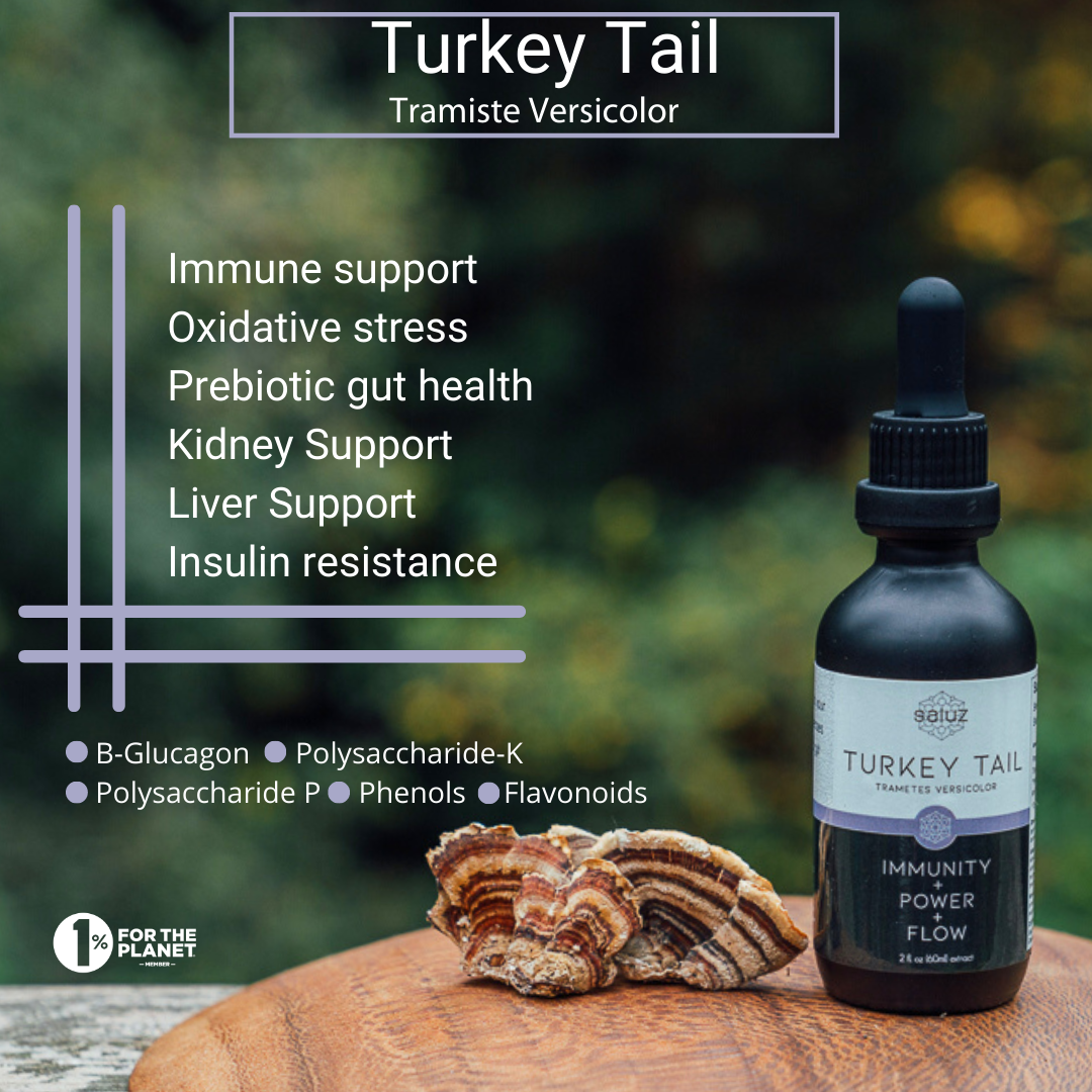 Turkey Tail (Gut Health) Mushroom Tincture 2 oz.