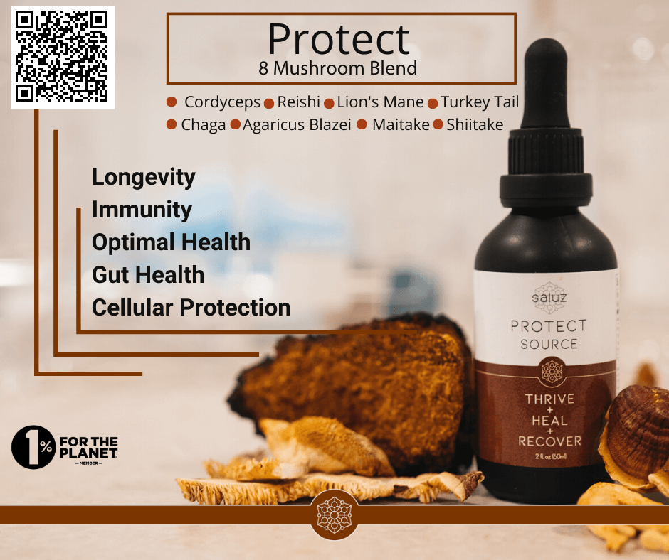 8 potent functional mushrooms designed to support the immune system