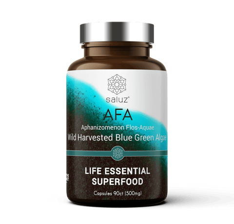 AFA Wild Harvested Blue Green Algae Capsules 500mg 90ct. - Saluz Health