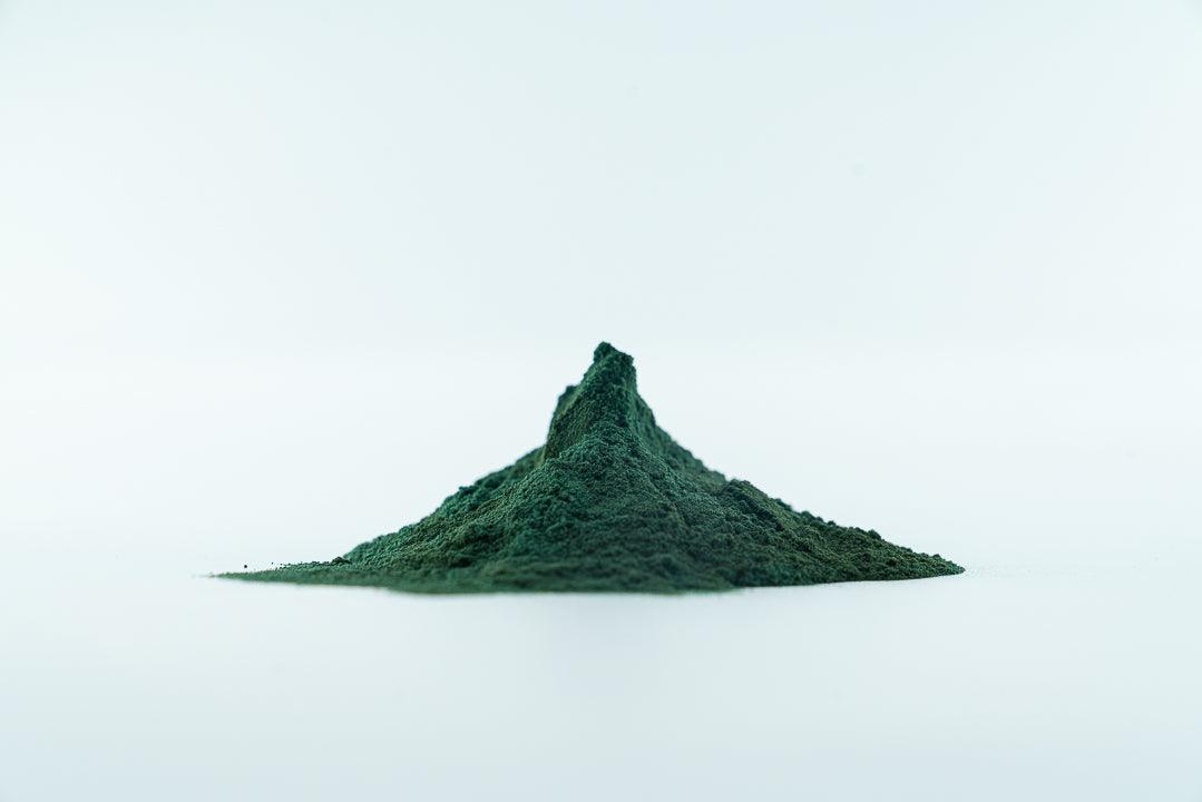 AFA Wild Harvested Blue Green Algae Powder 1 lb. Container - Saluz Health
