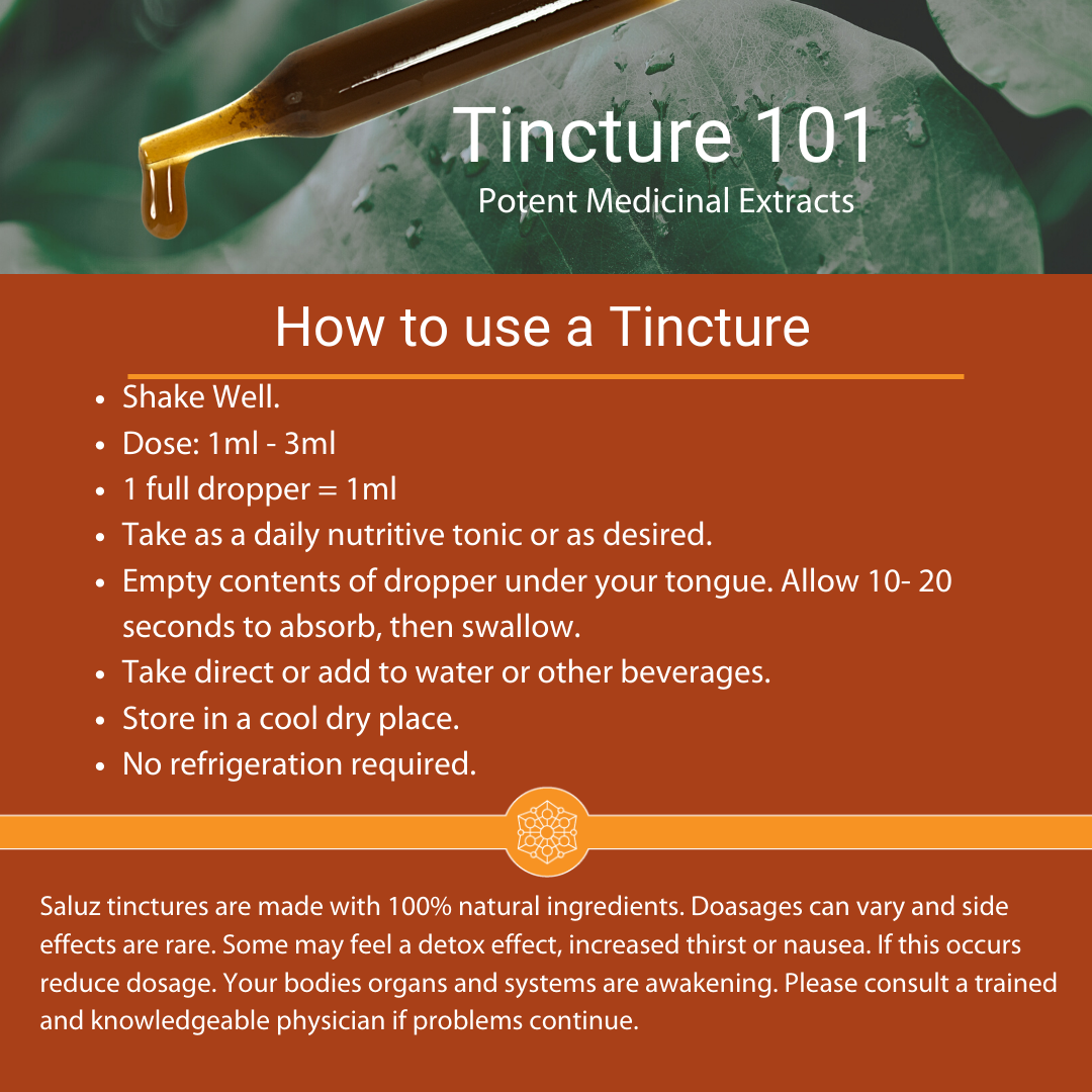 Cordyceps (Energy) Mushroom Tincture 2 oz.