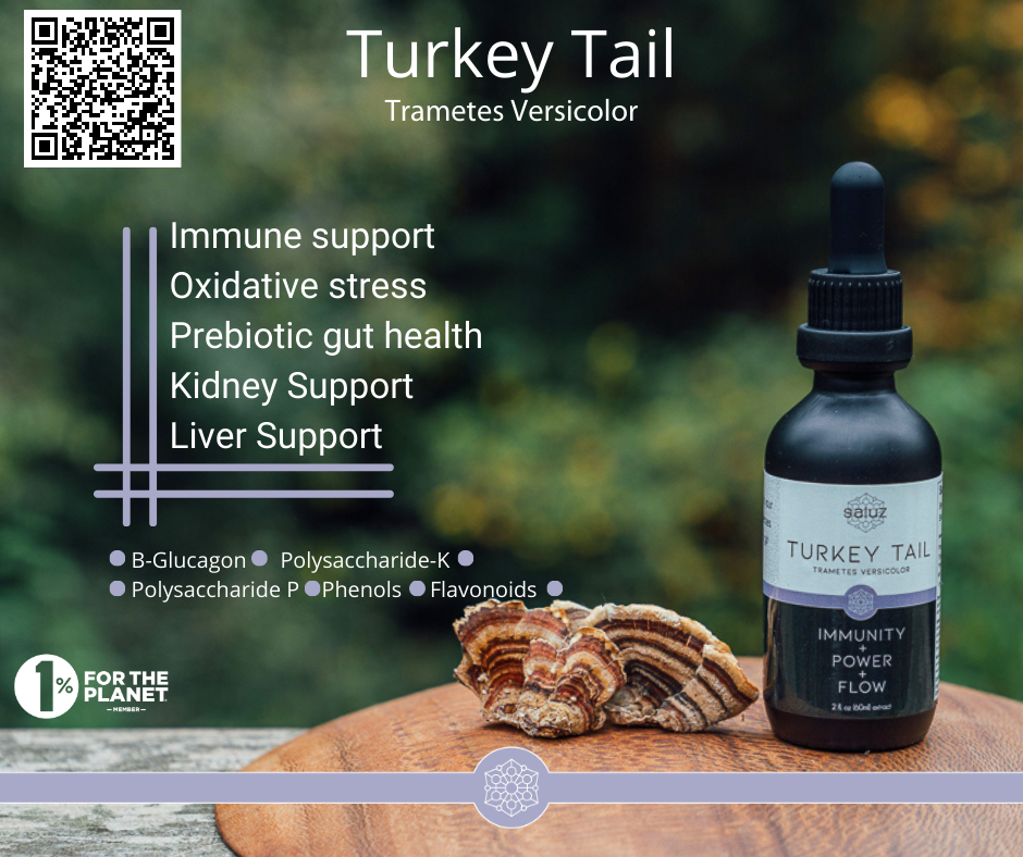 Gut Health + Longevity +  Immunity Pairing